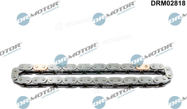 Dr. Motor DRM02818