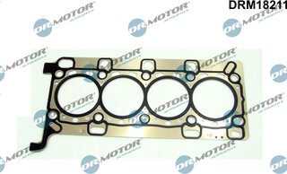 Dr. Motor DRM18211