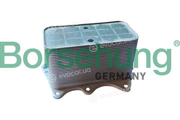 Borsehung B10887