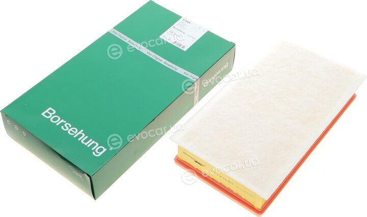 Borsehung B12406