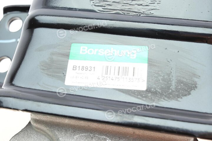 Borsehung B18931