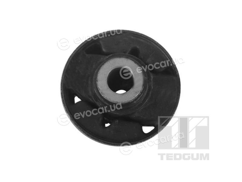 Tedgum 00288849