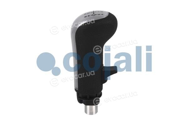 Cojali 2880187