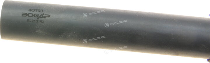 Bogap B1210163
