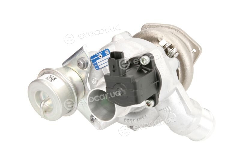 BorgWarner 53039880425