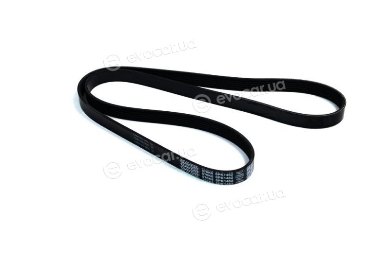 Dayco 6PK1462