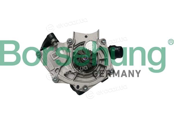 Borsehung B11209