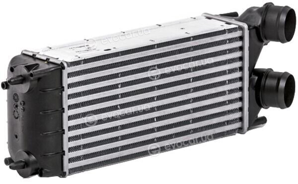 Mahle CI 528 000P