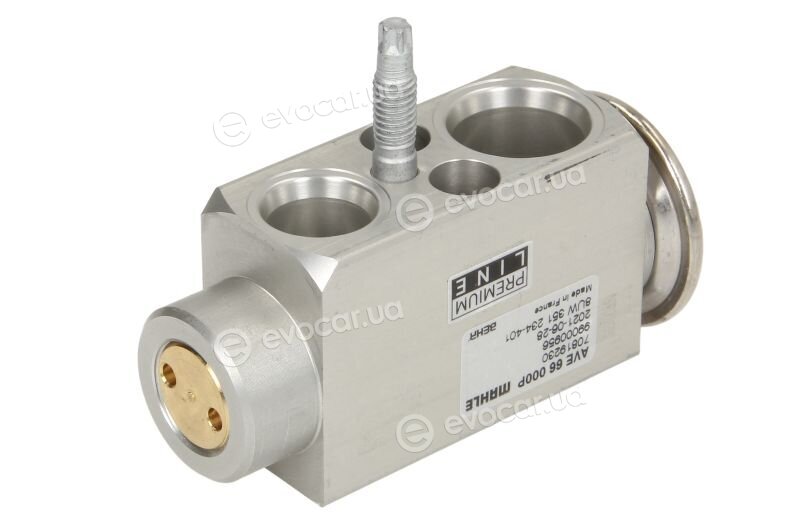 Mahle AVE 66 000P
