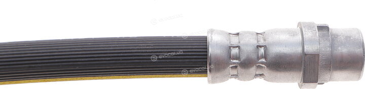 Solgy 210007