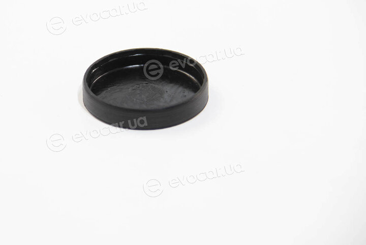 BGA PL4601