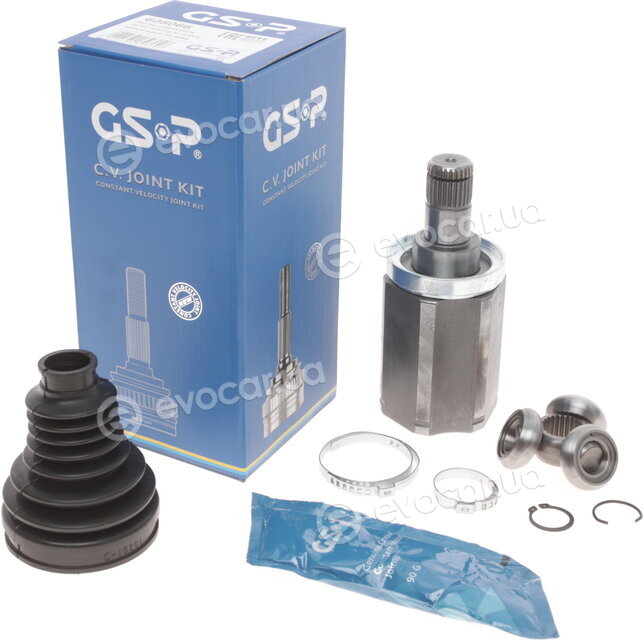 GSP 605066