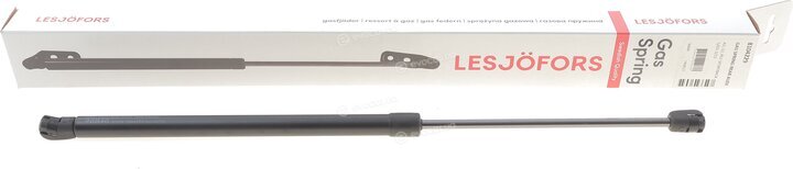 Lesjofors 8104229