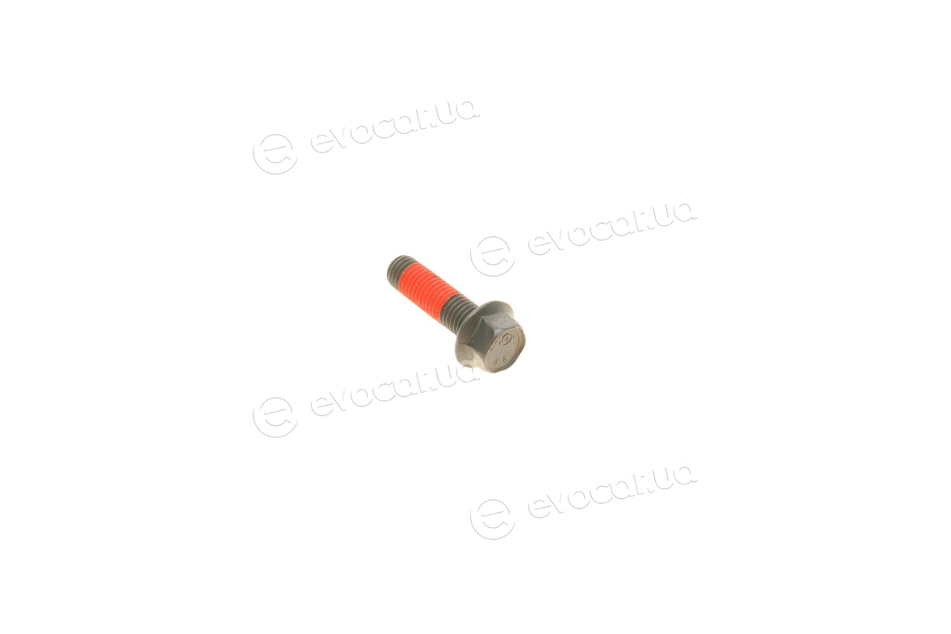 Continental CT1216WP1