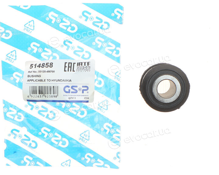 GSP 514858