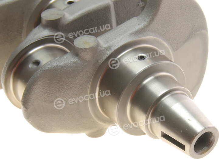 Motus MTS 0560
