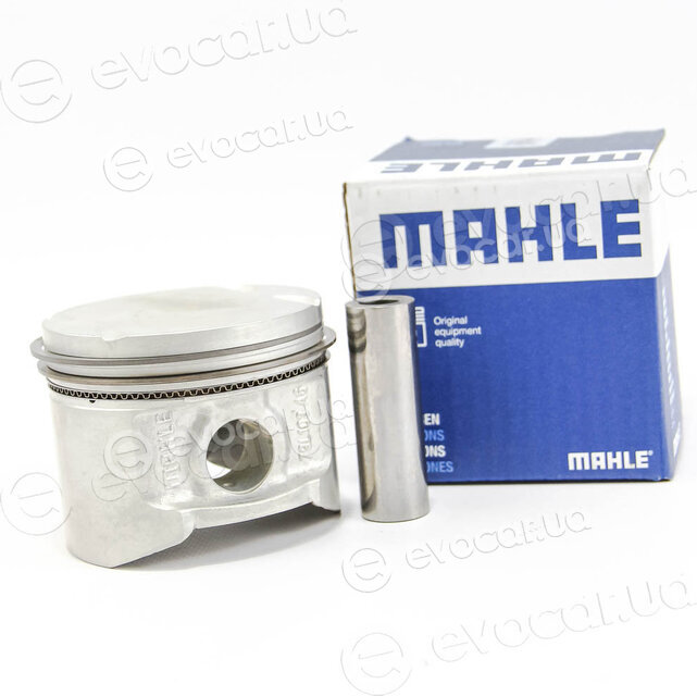 Mahle 022 05 01