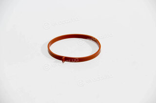 Elring 582.090