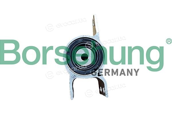 Borsehung B13254