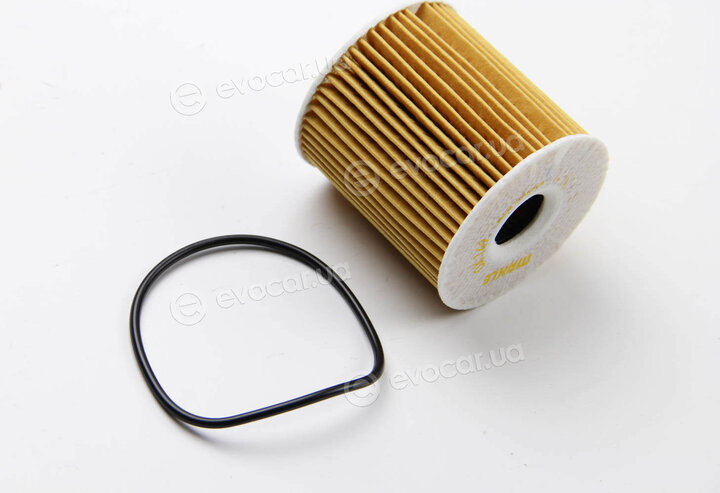 Mahle OX 149D
