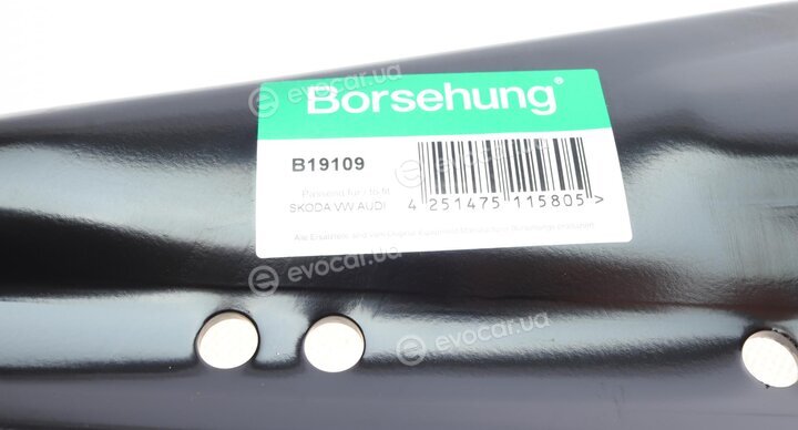 Borsehung B19109