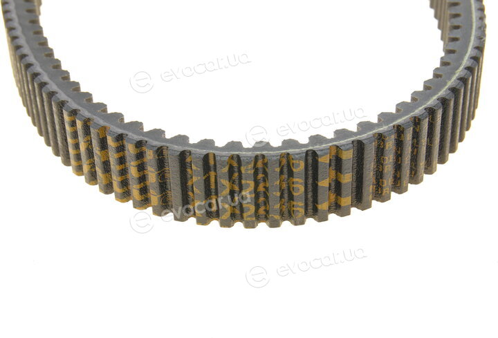 Dayco XTX2236