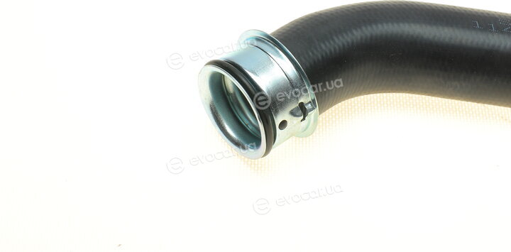 Solgy 114250