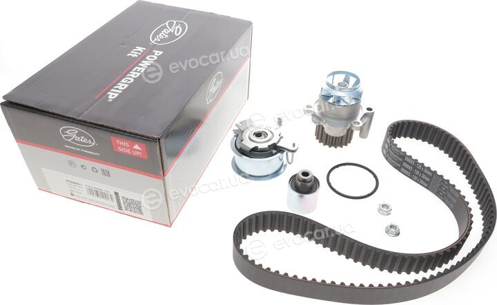 Gates KP55569XS-2