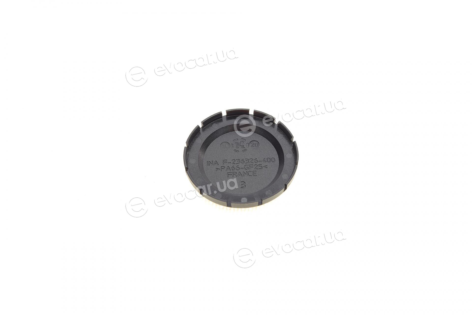 Continental 6PK1613K1