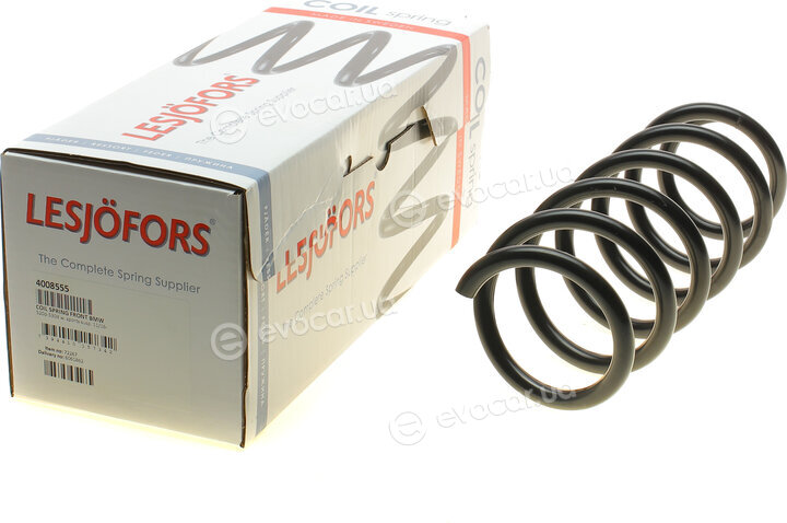 Lesjofors 4008555