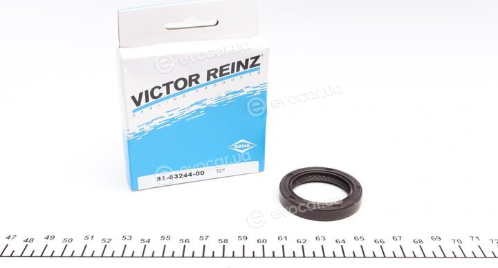 Victor Reinz 81-53244-00