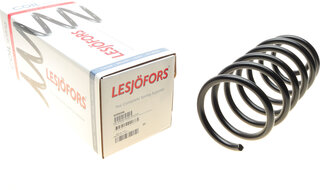 Lesjofors 4095046