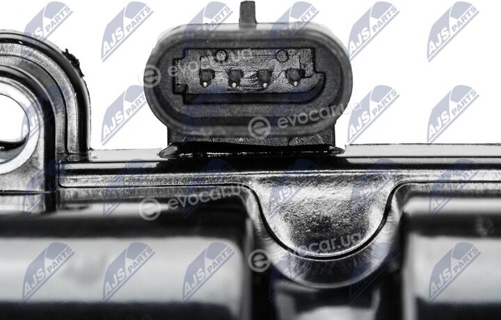 NTY ECZ-DW-005
