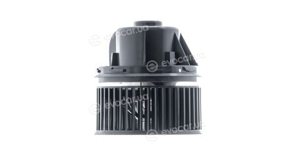 Mahle AB 241 000P