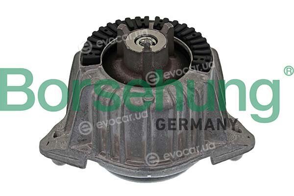 Borsehung B12645