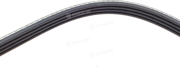 Dayco 4PK1000
