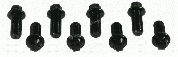 Sachs 1874 000 030
