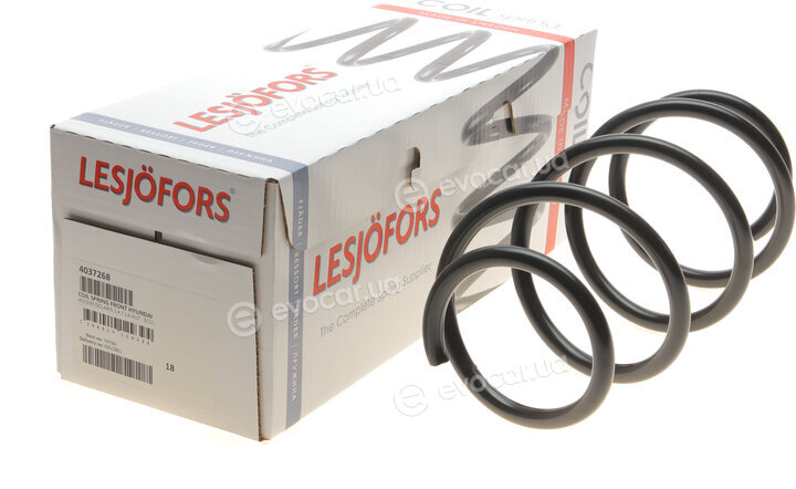 Lesjofors 4037268