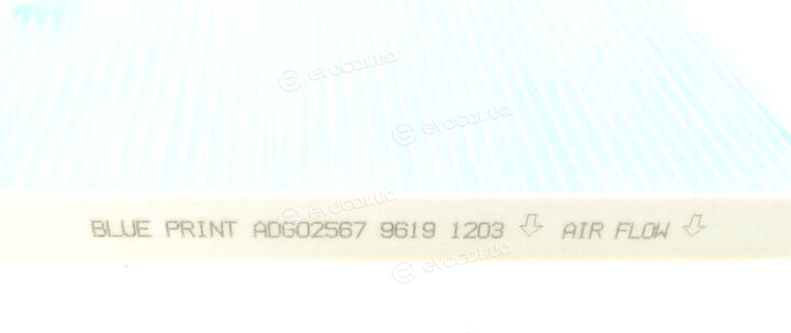 Blue Print ADG02567