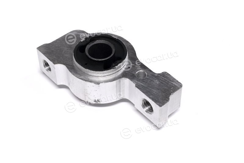 Sasic 2250008