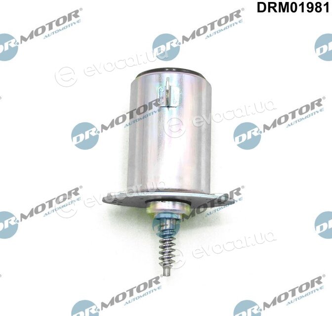 Dr. Motor DRM01981