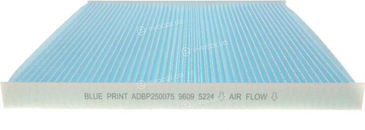Blue Print ADBP250075