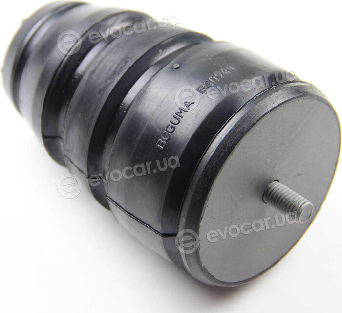 BC Guma 0941