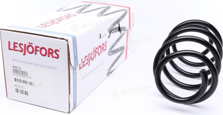 Lesjofors 4085712