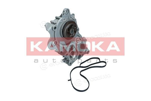 Kamoka T0287