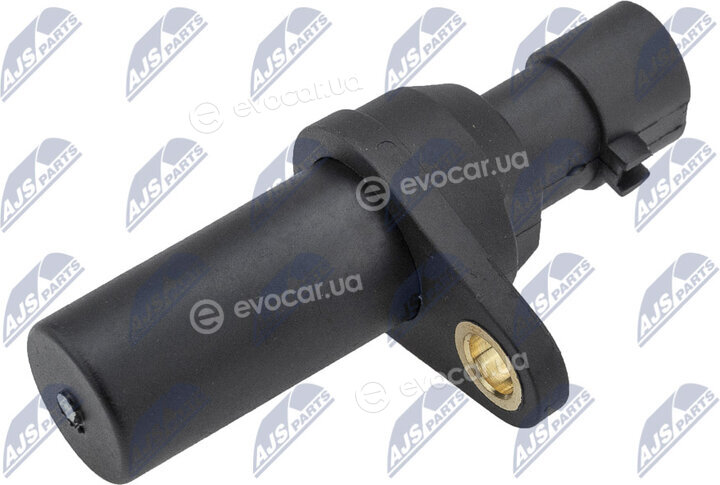 NTY ECP-AR-012