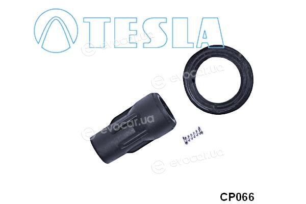 Tesla CP066