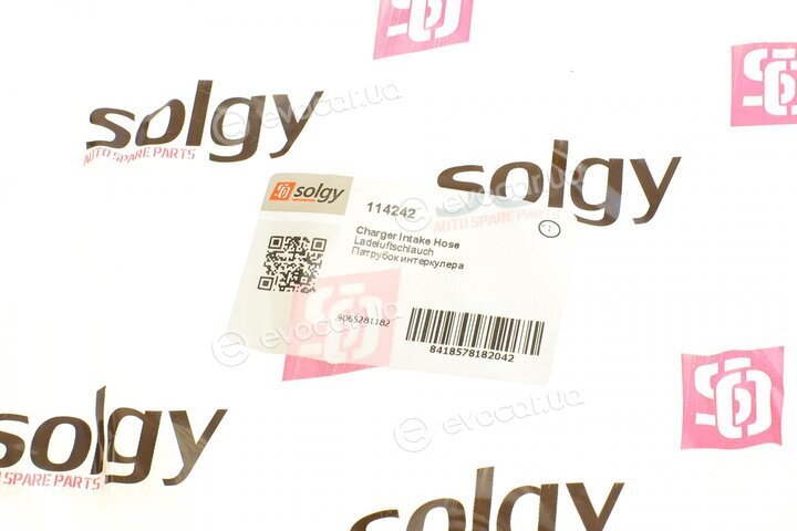 Solgy 114242