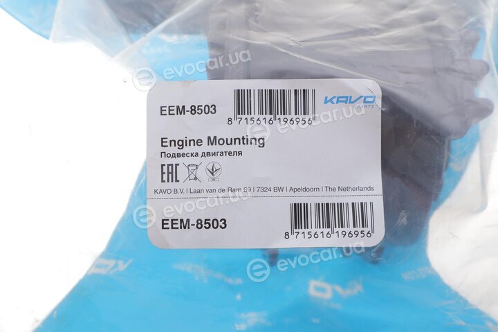 Kavo EEM-8503
