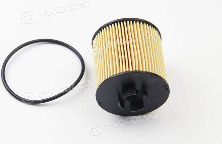 Mahle OX 341D